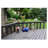0998-Back Yard