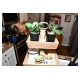 130-Kitchen