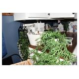 272-Laundry Room