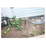 522-Back Yard