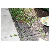 529-Back Yard