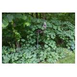 533-Back Yard
