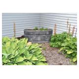 545-Front Yard
