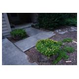 921-Back yard