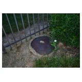 930-Back yard