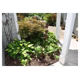 265-Back Yard