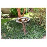 282-Front Yard