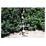 0986-Back Yard