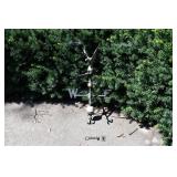 0987-Back Yard