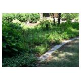 1037-Front Yard