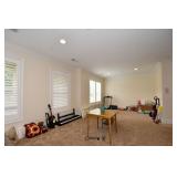 213-Family Room Basement