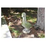 775-Front Yard