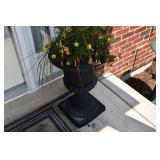 611-Front Yard