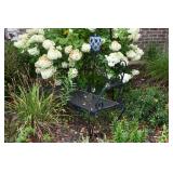 1053-Front Yard