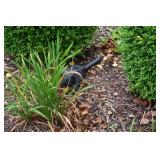1061-Front Yard