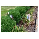 1063-Front Yard