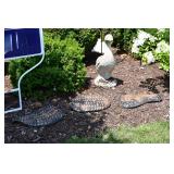 447-Front Yard