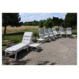 1426-Back Yard
