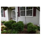 880-Front Yard