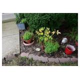 883-Front Yard