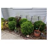 887-Front Yard