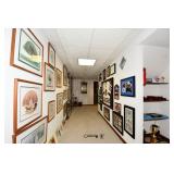 519-Basement