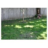 922-Back Yard 922-Back Yard