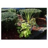 1029-Front Yard 1029-Front Yard