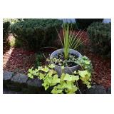 1030-Front Yard 1030-Front Yard