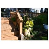 1067-Back yard 1067-Back yard
