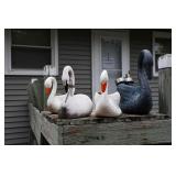 683-12 Back Yard  (10)