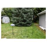 687-12 Back Yard  (14)