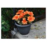 696-12 Back Yard  (23)