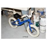 0011-Some Highlights Naperville estate Sale