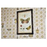 0497-Bedroom A Bonus Room