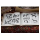 0007-Some Highlights Ottawa Estate Sale