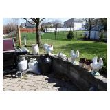 1419-Back yard