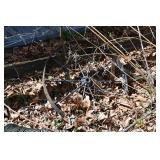 1265-Front Yard