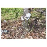 1322-Back Yard