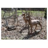 1325-Back Yard