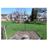 659-Back Yard
