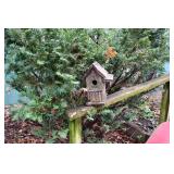1343-Back Yard