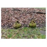 1348-Back Yard