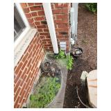1395-Back Yard