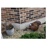 922-Front Yard