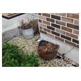 923-Front Yard