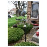 949-Front Yard