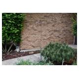 873-Back Yard