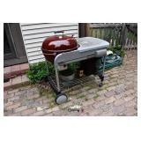 887-Back Yard