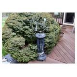1174-Back Yard